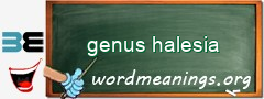WordMeaning blackboard for genus halesia